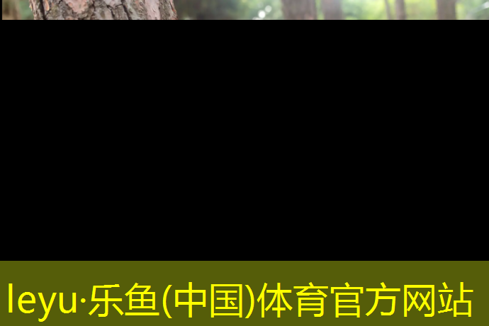 乐鱼体育官方网站,跆拳道对打课护具