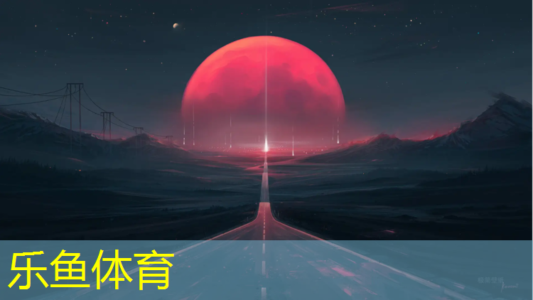 乐鱼体育,体操垫练空翻