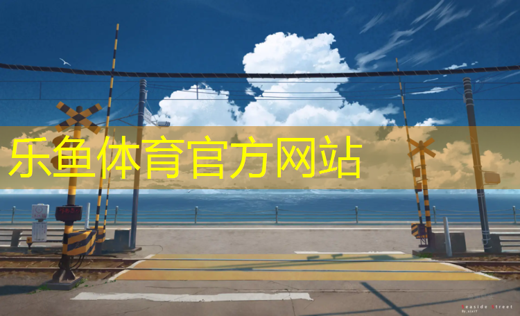 打网球网球视角